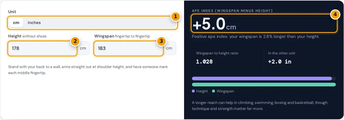 How to use the ape index calculator: choose units, enter height and wingspan, read the index