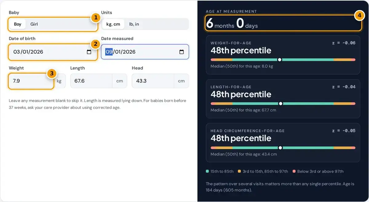 How to use the baby percentile calculator: pick sex, enter dates and measurements, then read the WHO percentiles