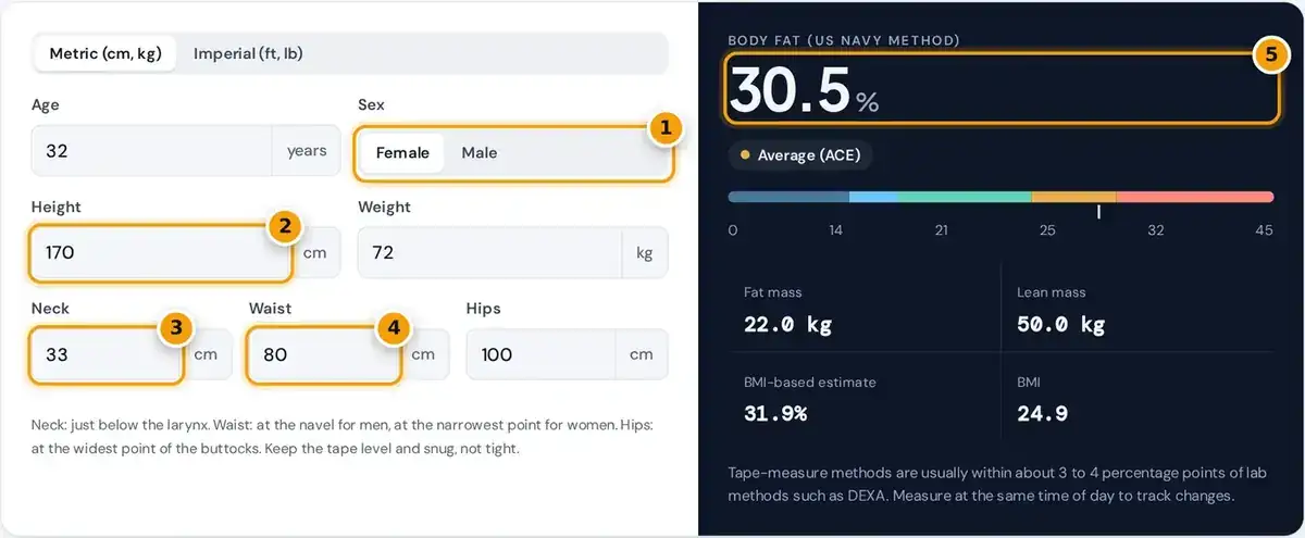How to use the body fat calculator: enter sex, height, weight and tape measurements, then read your body fat
