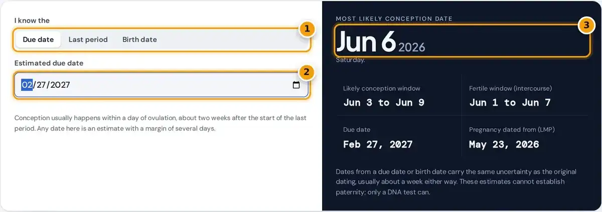 How to use the conception date calculator: choose a method, enter the date, then read your likely conception date
