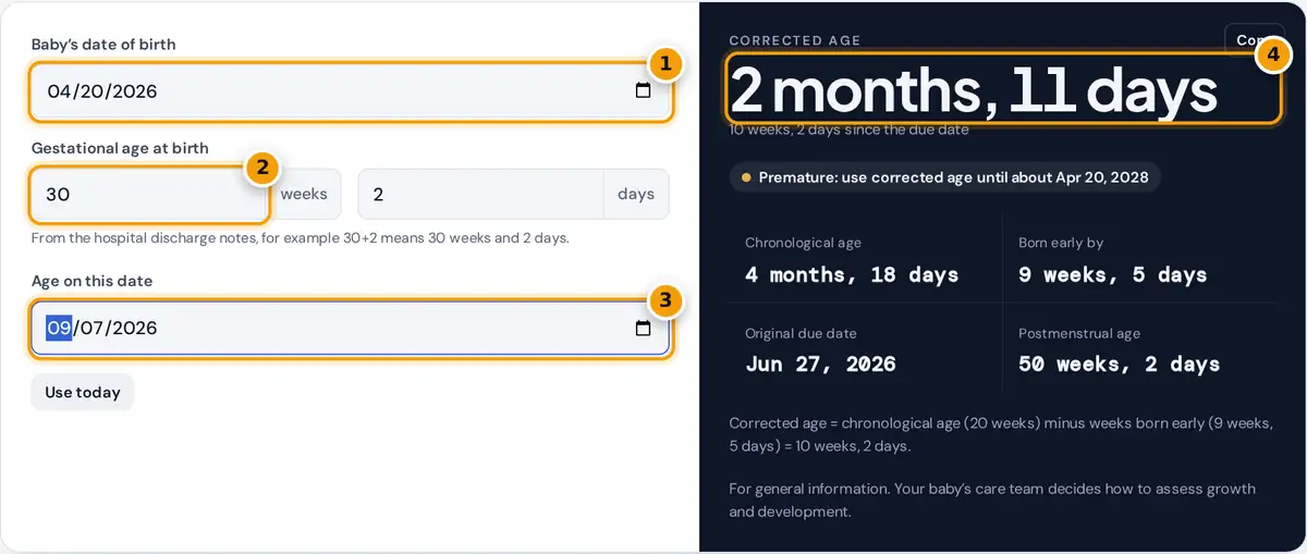 How to use the corrected age calculator: enter birth date, gestational age and a date, then read the age