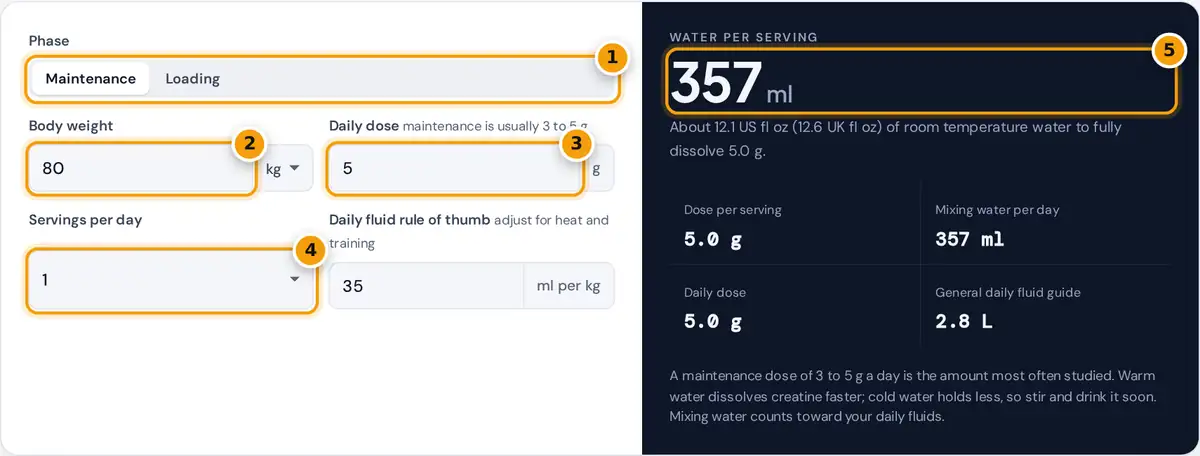 How to use the creatine water calculator: choose phase, enter weight, dose and servings per day