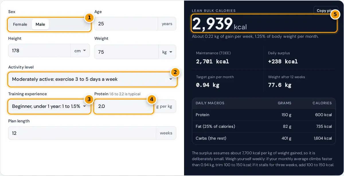 How to use the lean bulk calculator: enter body stats, activity and training experience, read calories