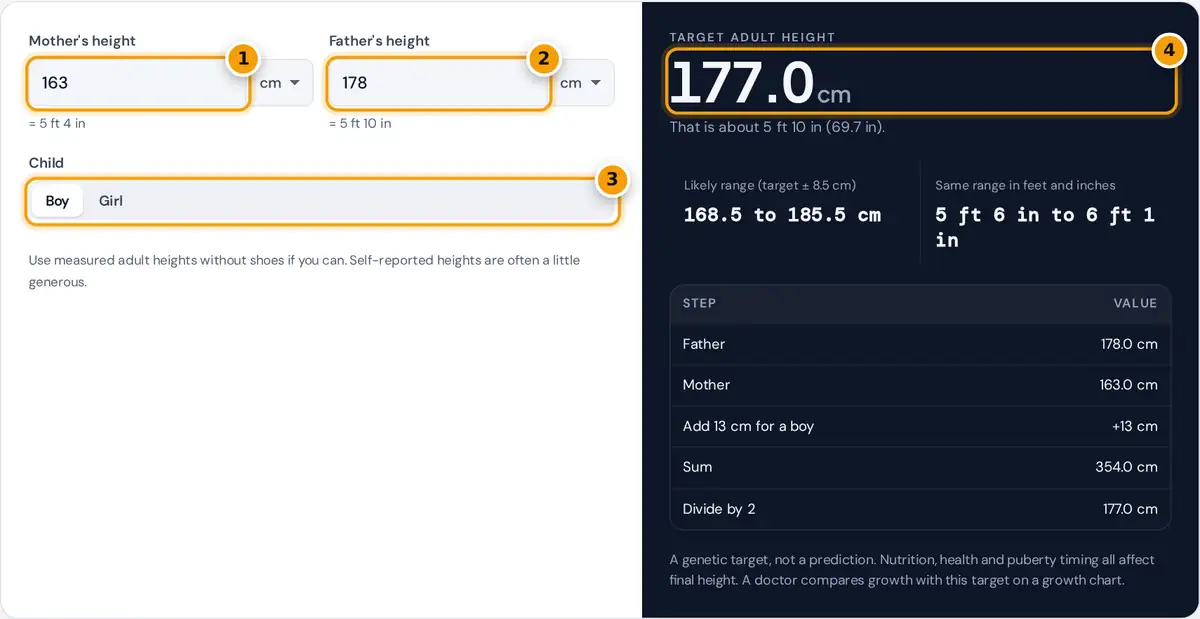 How to use the midparental height calculator: enter both parents' heights and choose boy or girl