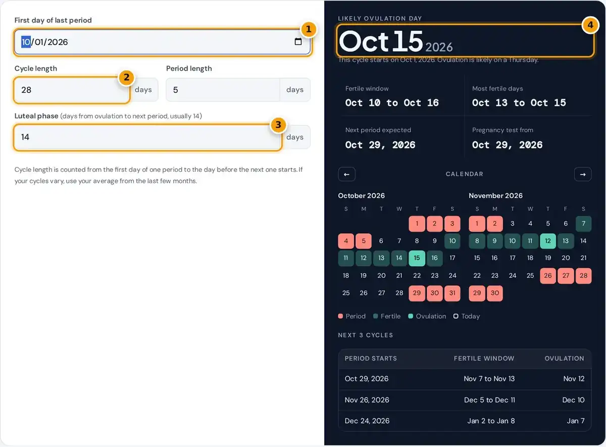 How to use the ovulation calculator: enter your last period, cycle and luteal phase, then read your ovulation day