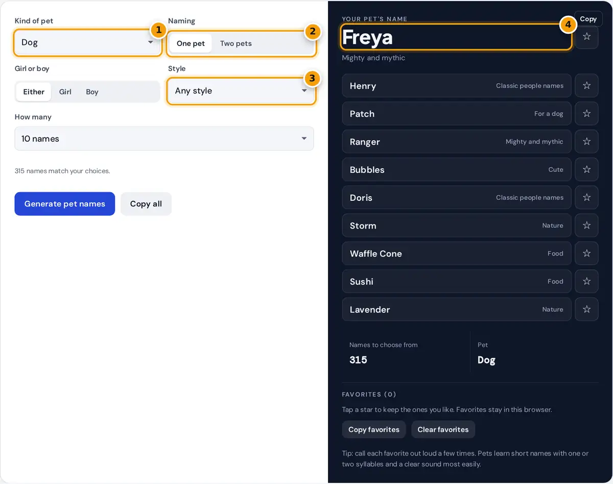 How to use the pet name generator: choose pet type, gender and style, then save favorite names
