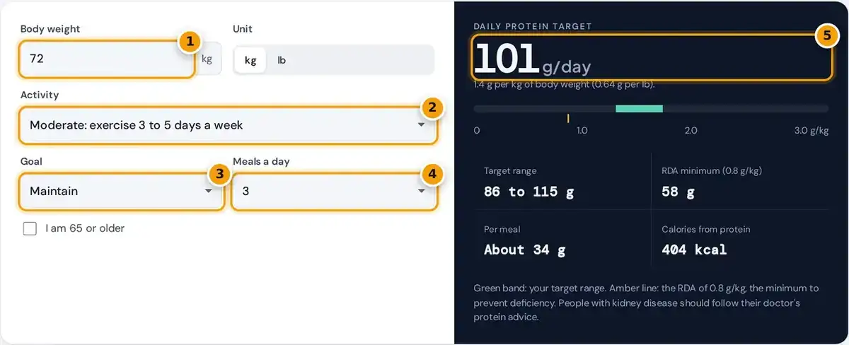 How to use the protein intake calculator: enter weight, activity, goal and meals, then read your daily protein
