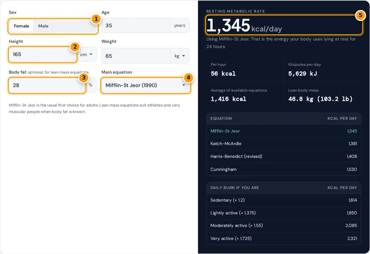 How to use the resting metabolic rate calculator: enter sex, age, height, weight and body fat