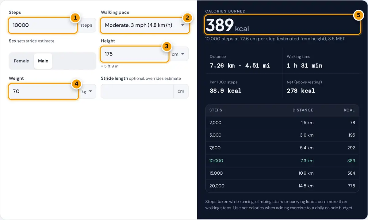 How to use the step calorie calculator: enter steps, pace, height and weight, read calories burned