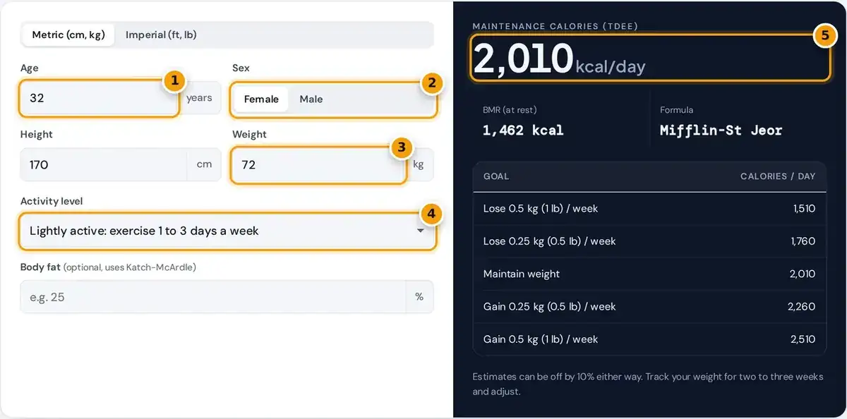 How to use the TDEE calculator: enter age, sex, height, weight and activity, then read your maintenance calories